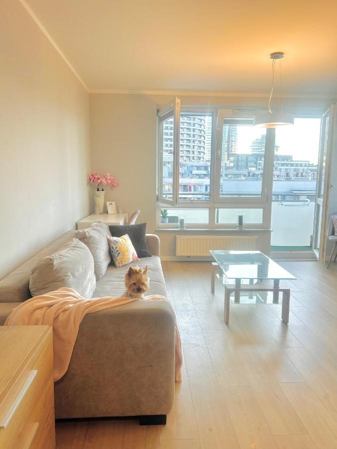 Downtownapartments Carrie Rzeszow Ngoại thất bức ảnh